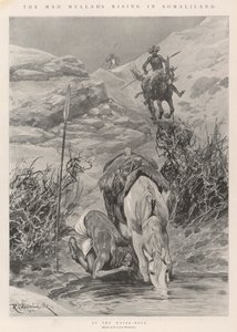 Hullun mullan nousu Somalimaassa